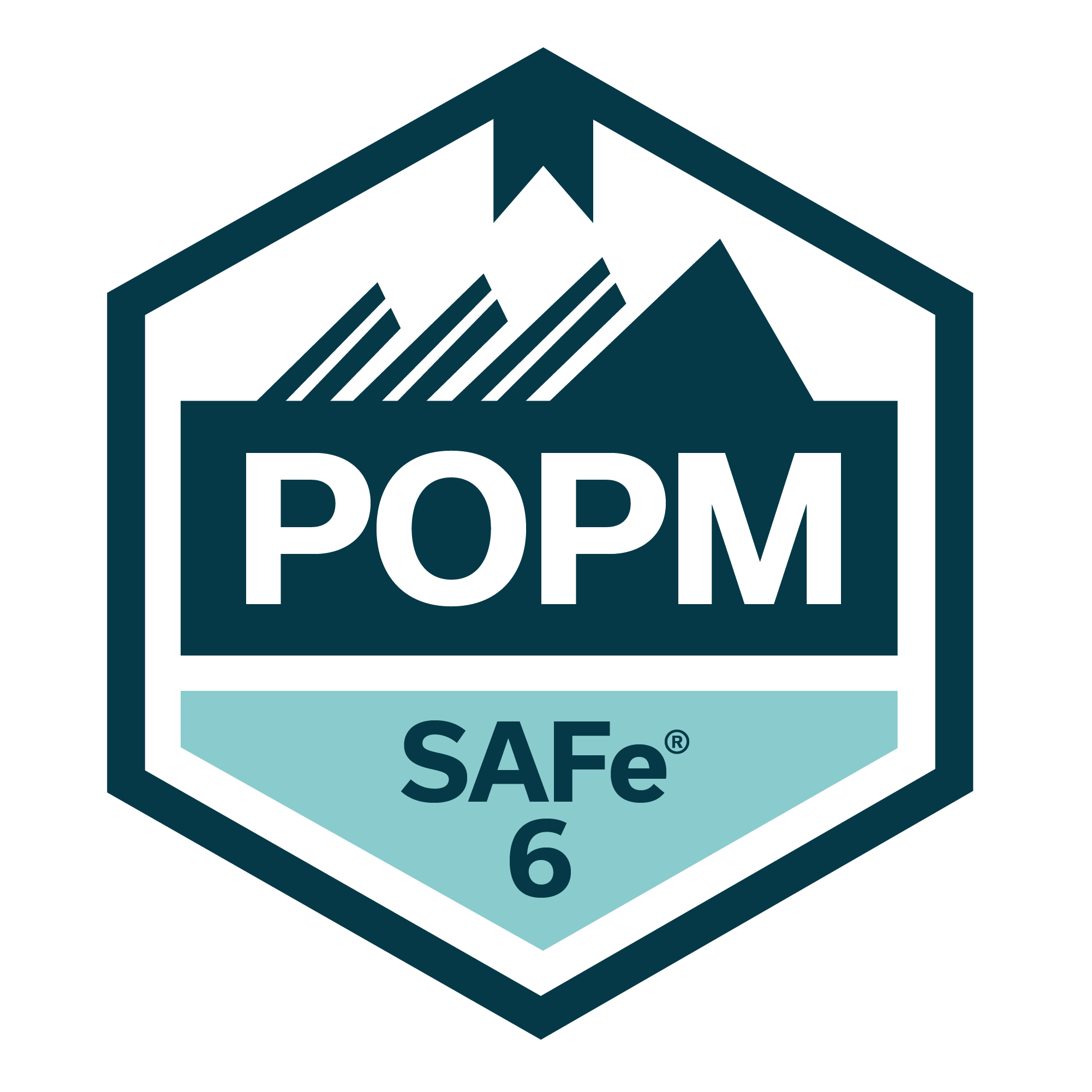SAFE® PRODUCT OWNER/PRODUCT MANAGER – 2 DAYS INSTRUCTOR 
